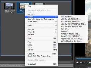 XDCAM Browser Export