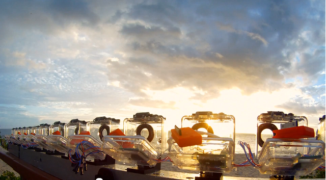 GoPro Array for Rip Curl