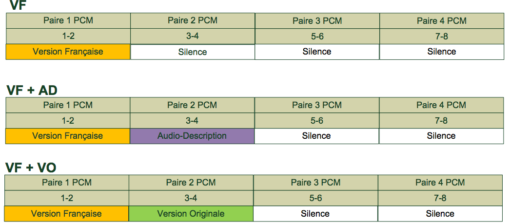 Pistes audios TF1